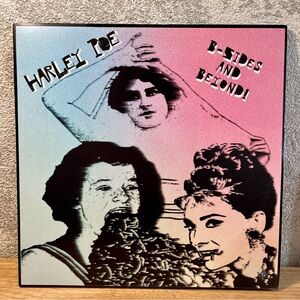 Harley Poe B-Sides and Beyond! 2 x Vinyl LP Record - Mint Media Rare